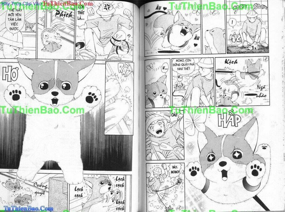 chó con mo mo chapter 3 55