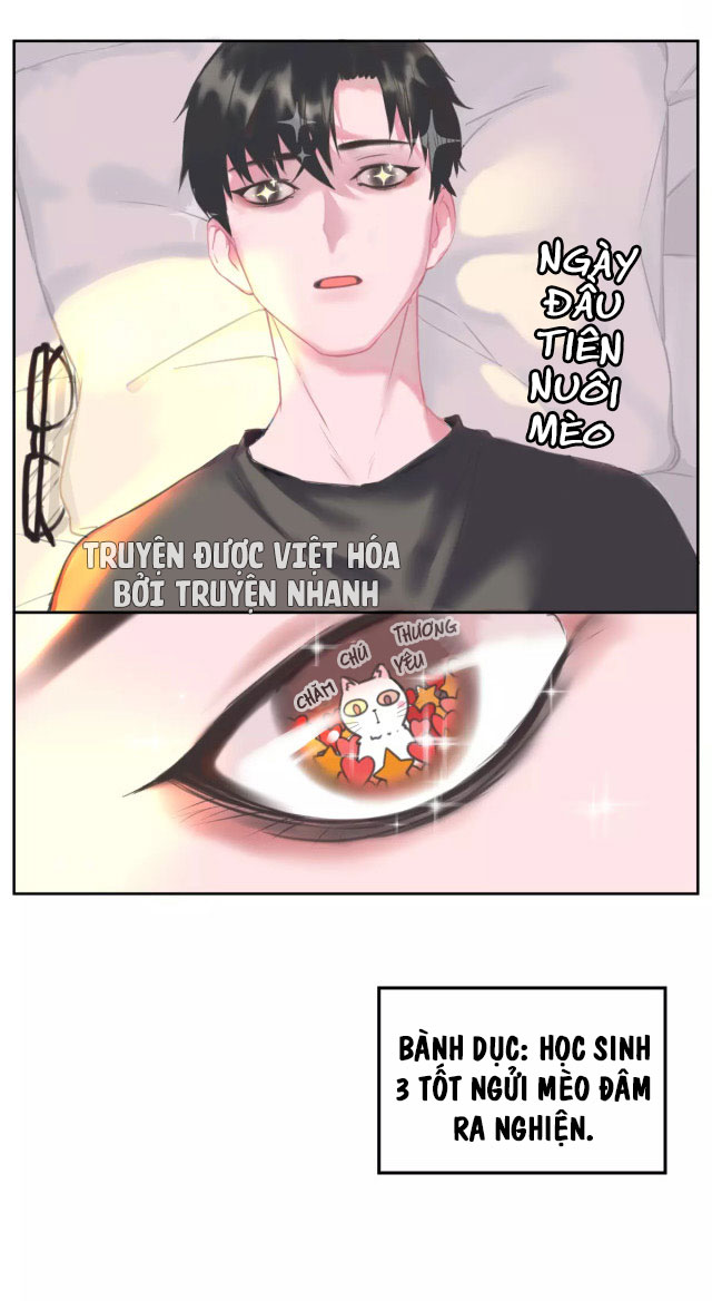 xã hội mèo chapter 1 29