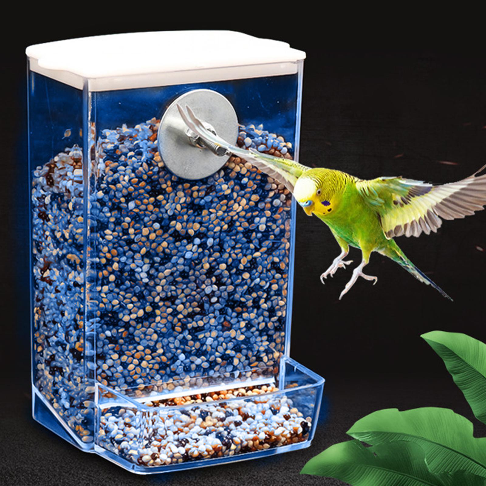 Seed Feeding Automatic Container Box Parrot Feeder Pet Bird Cage Food Feeder