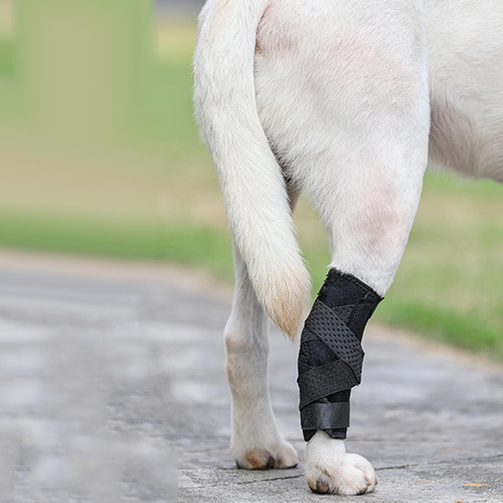 Dog Leg Brace Support Hock Joint Sleeve for Loss of Stability from