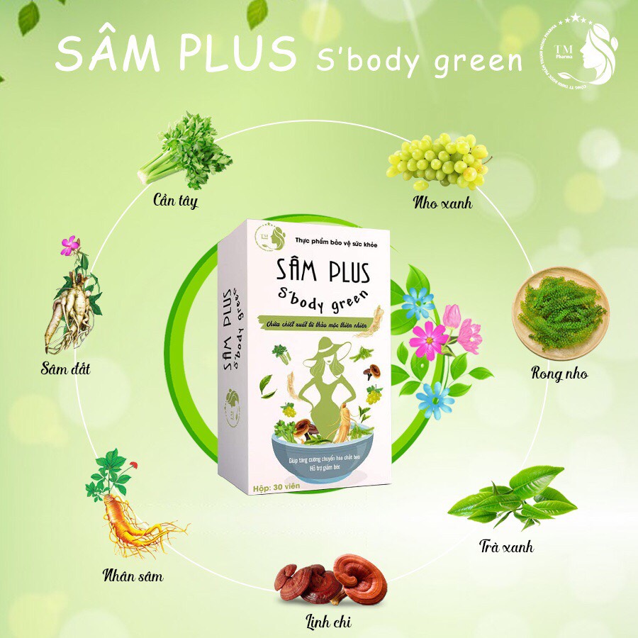 Sâm PLUS S'body green giúp giảm cảm giác thèm ăn, hỗ trợ kiểm soát cân nặng, phân giải mỡ sinh học thanh nhiệt an toàn hiệu quả