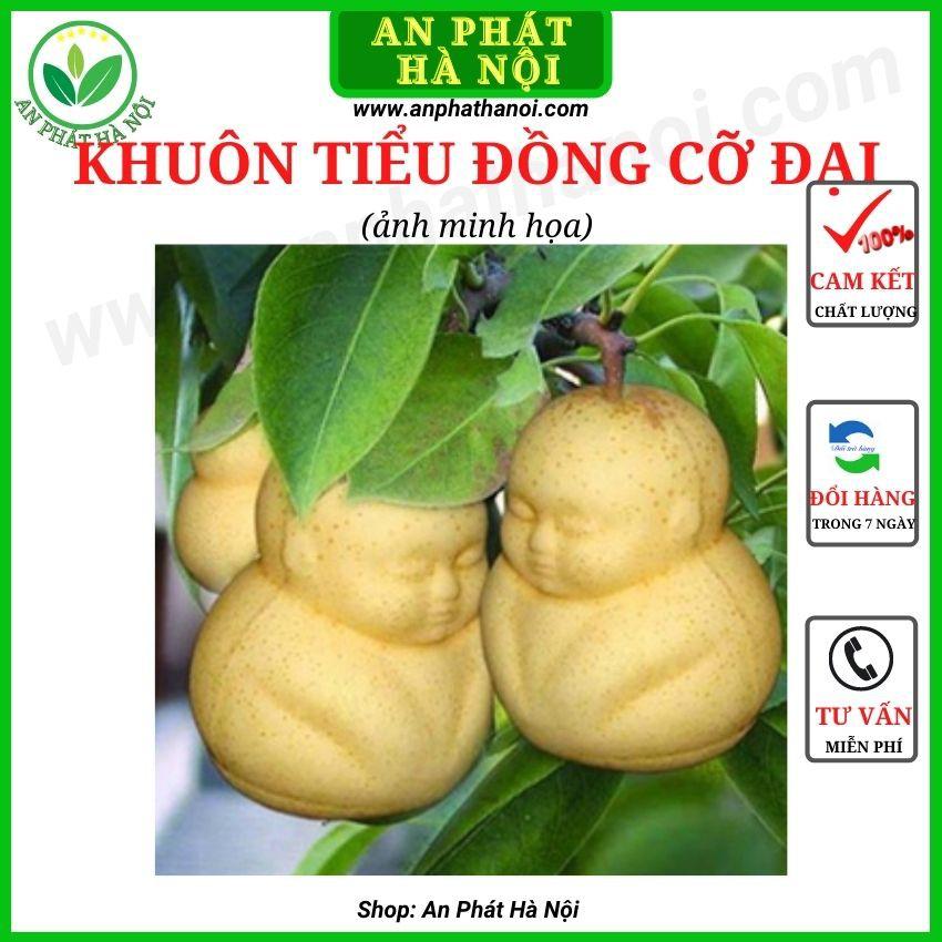 Khuôn Bưởi hình Tiểu Đồng loại đẹp - Khuôn tạo hình trái cây TÀI LỘC dày 4,5 li dày đủ phụ kiện