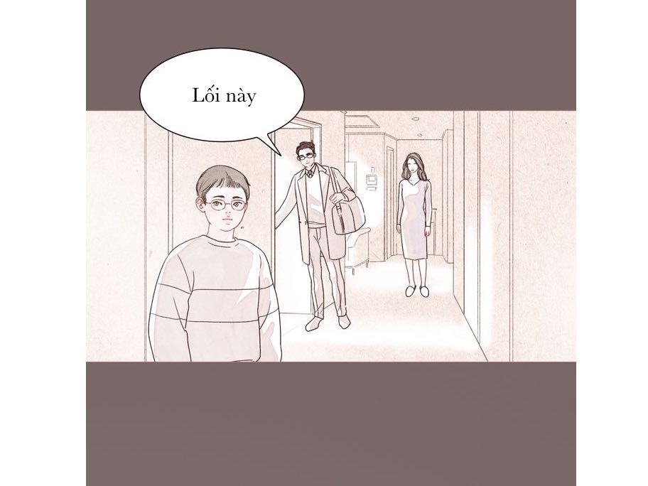 tình yêu như một giấc mộng hè chapter 0.2 52