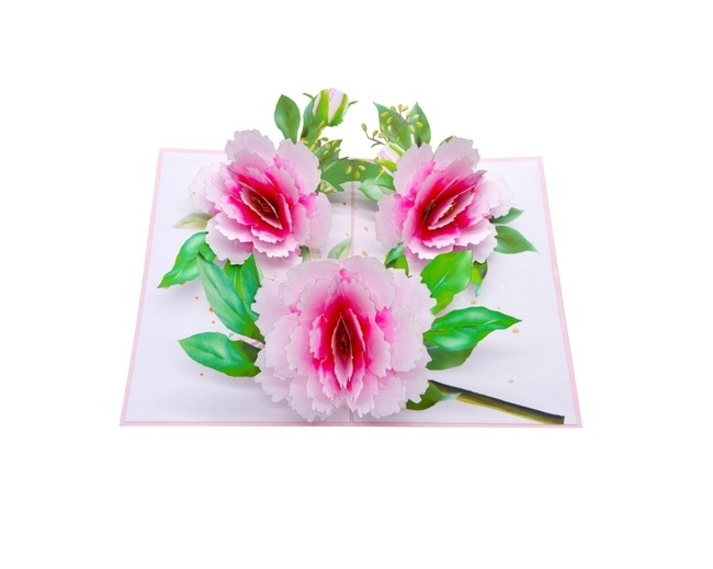 Thiệp 3D Hoa Mẫu Đơn Hồng Thanh Lịch – Thiệp Pop Up Cao Cấp, Tặng Sinh Nhật, Kỷ Niệm, 8/3, 20/10, Lễ Tình Nhân, F41