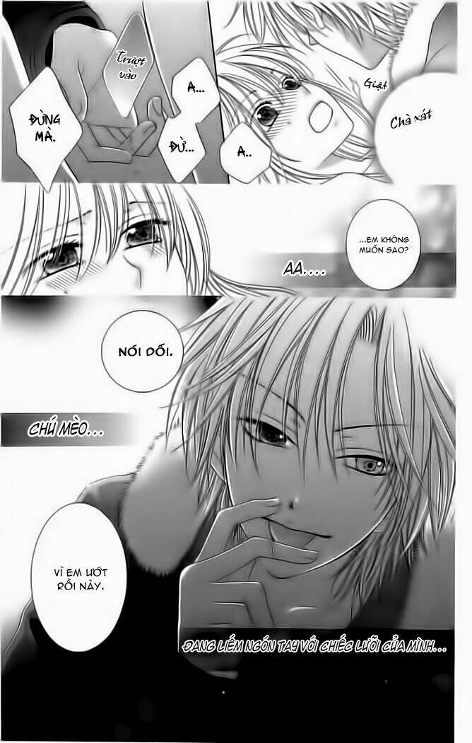 my dear cat chapter 1 31