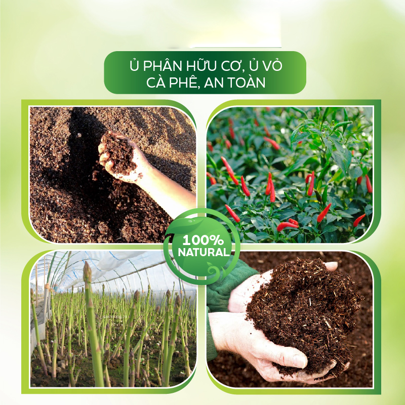 Nấm ủ Trichoderma AT ủ phân hữu cơ vi sinh siêu nhanh, ủ vỏ cà phê, tưới cải tạo đất 1kg tăng cường vi sinh vật có lợi
