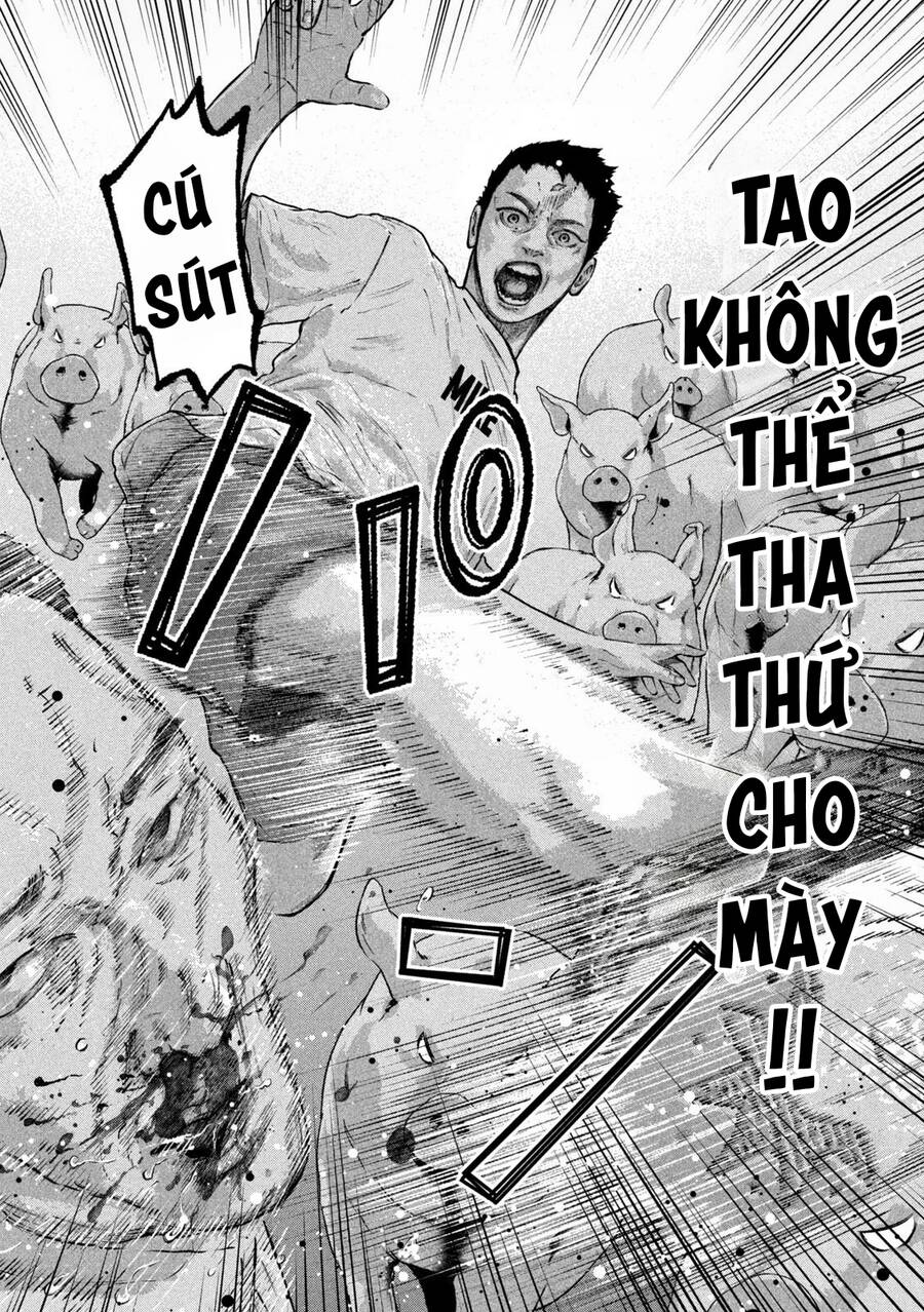 mật danh: nostra chapter 5 10