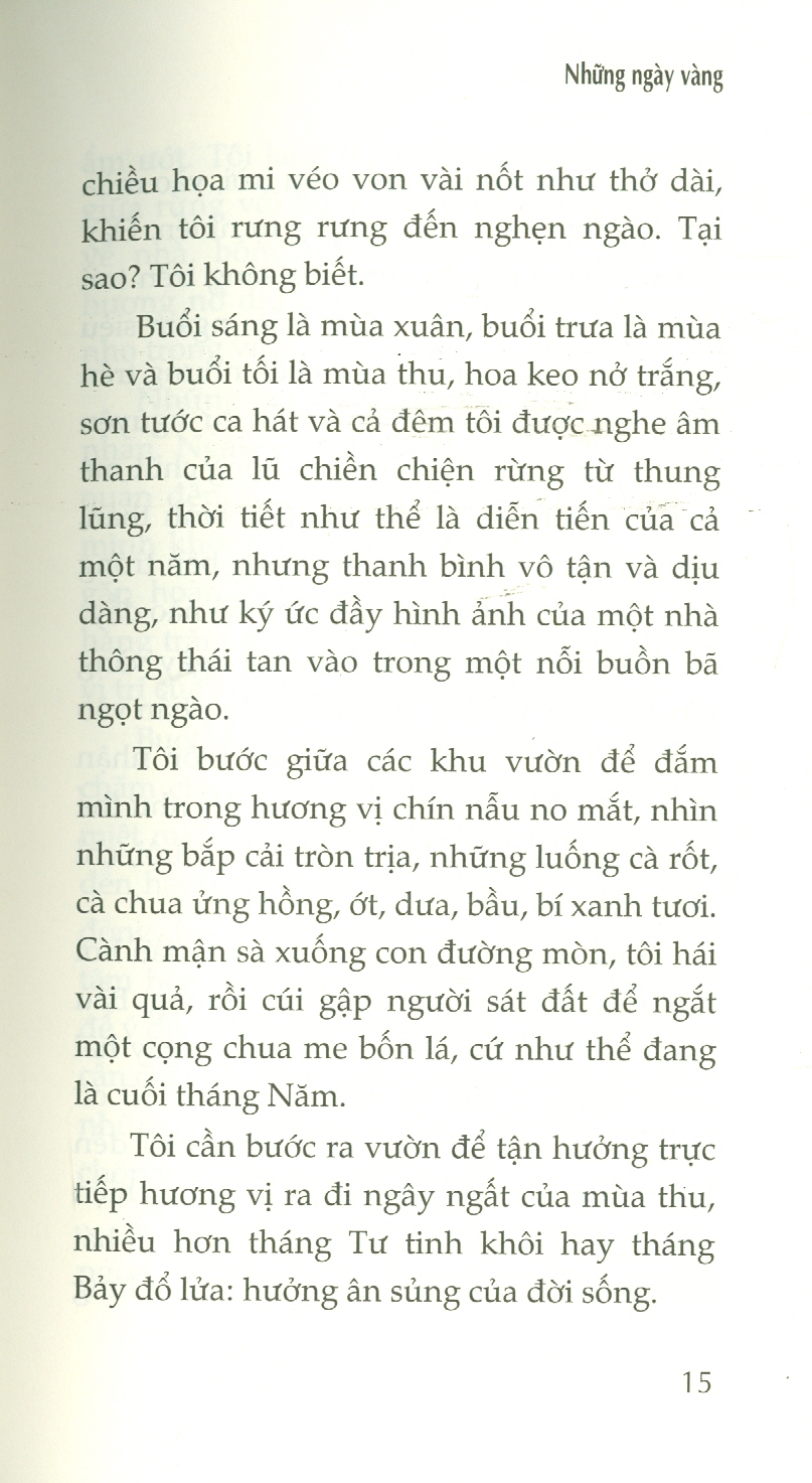 Những Ngày Vàng - Hamvas Béla - Nguyễn Hồng Nhung dịch - (bìa mềm)