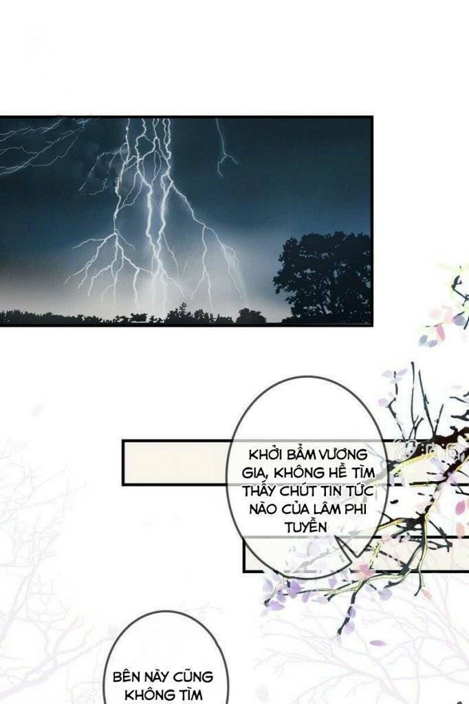sủng phi của vương chapter 172 17