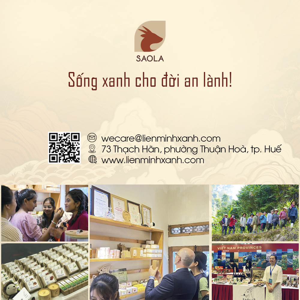 Dầu Gội Bưởi, Hương Nhu, Bạc Hà, Giảm Rụng, Kích Mọc Tóc, Giảm Gàu, Hết Ngứa, Tự Nhiên,300ml,