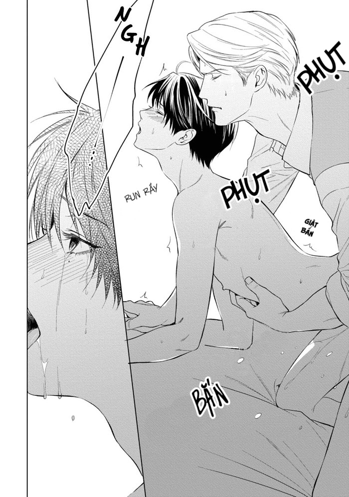 cô dâu của alpha chapter 3 14