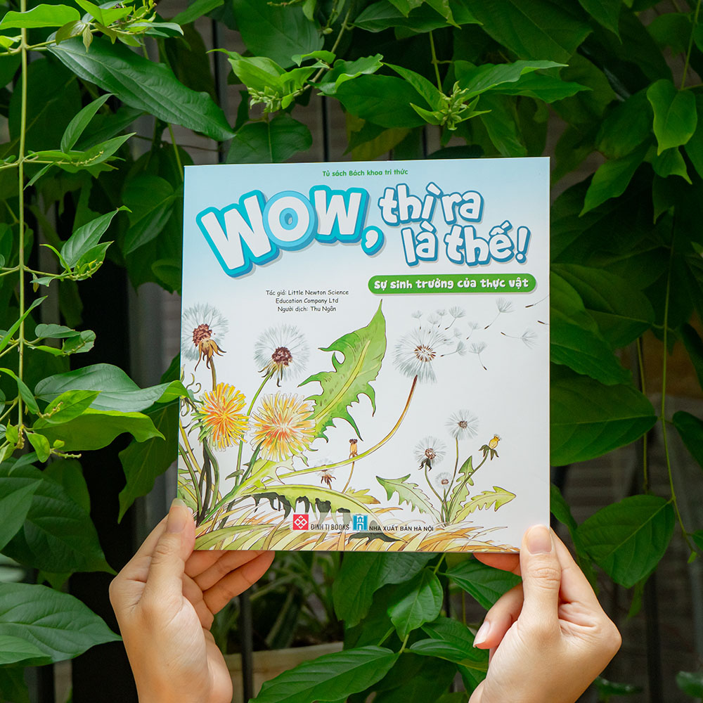 Wow, Thì Ra Là Thế! - Sự Sinh Trưởng Của Thực Vật