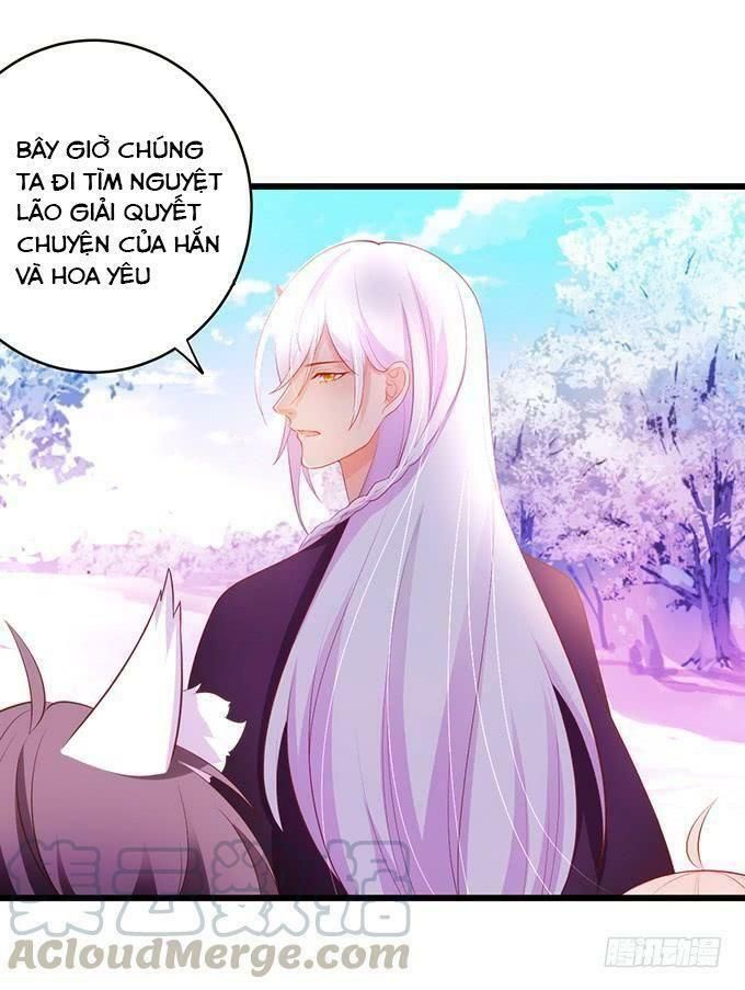 hồ tiên hung bạo chapter 116 17