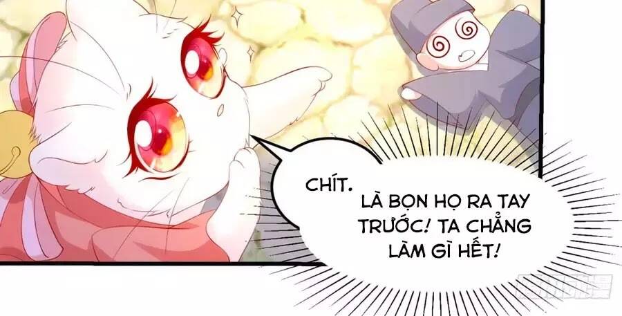 dưỡng thú vi phi chapter 5 100