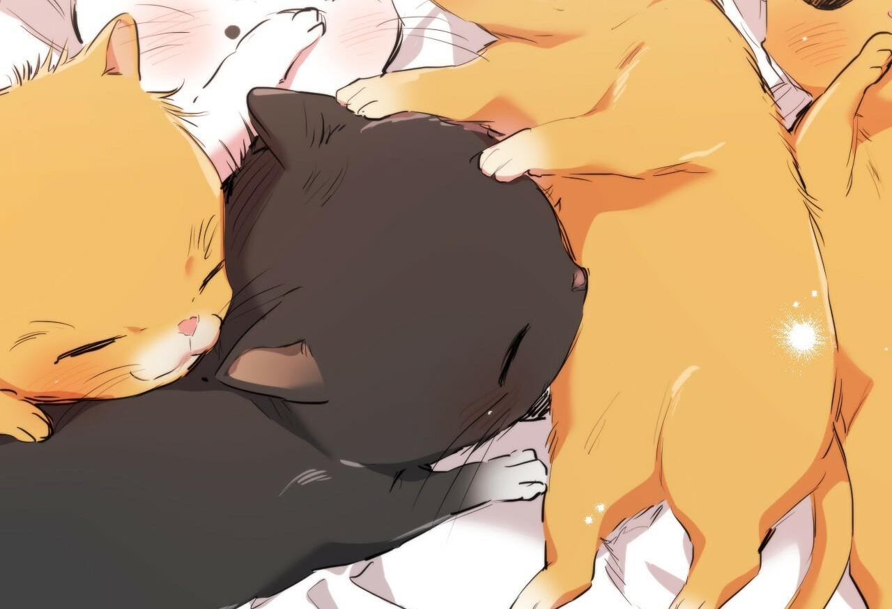 đàn thỏ của habibi chapter 32 4