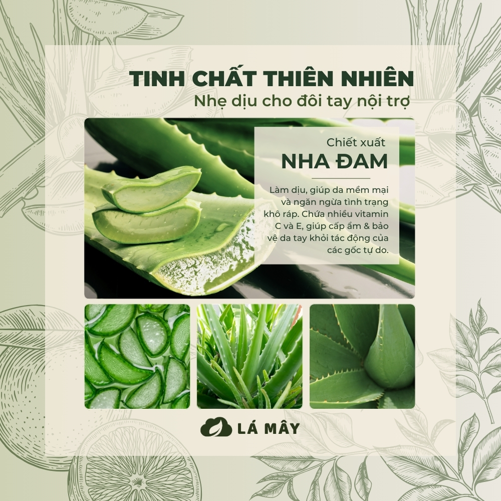 NƯỚC RỬA CHÉN BÁT (KHÔNG ĐẬM ĐẶC) TÍA TÔ &amp; ANH ĐÀO LÁ MÂY 500 mL