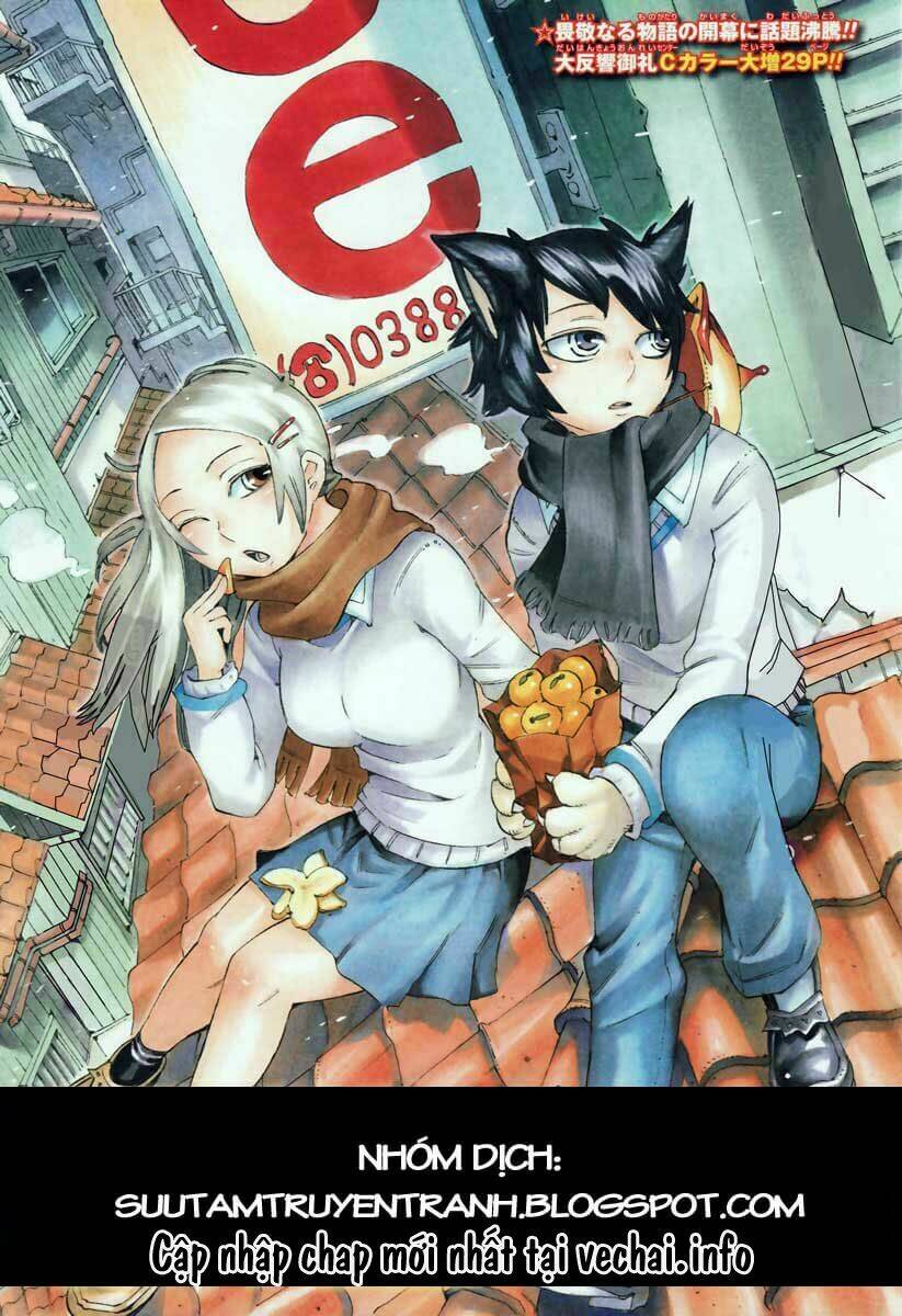 bokke-san chapter 9 20