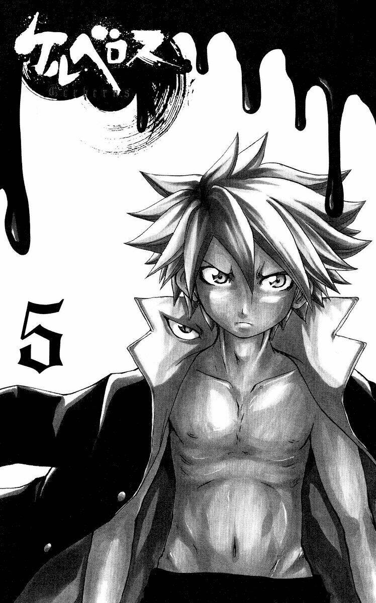 cerberus chapter 34 4