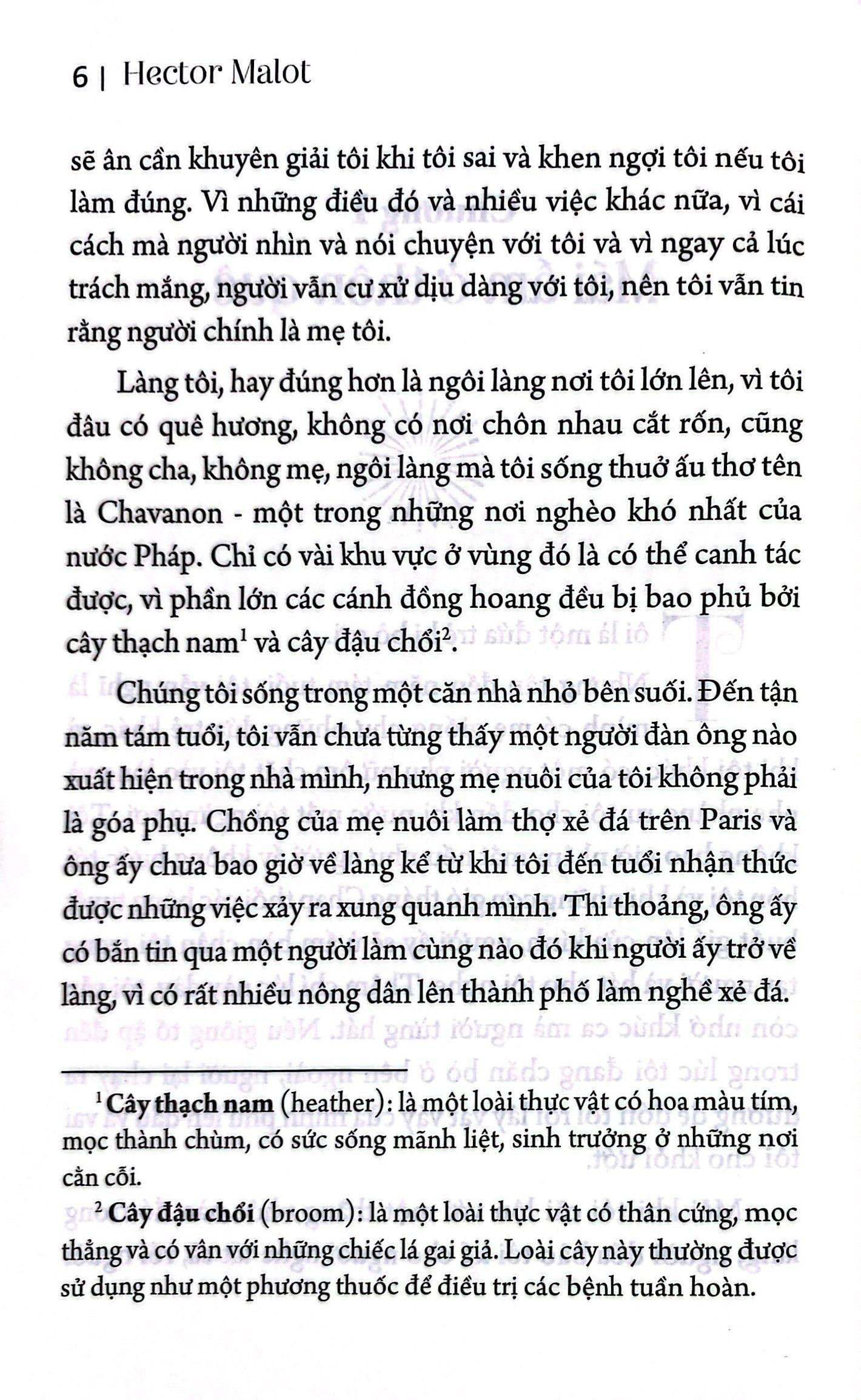 Sách - Không Gia Đình (Tái Bản 2024)