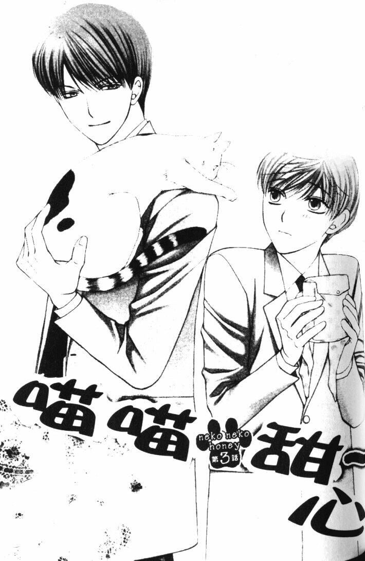 neko neko honey chapter 3 2