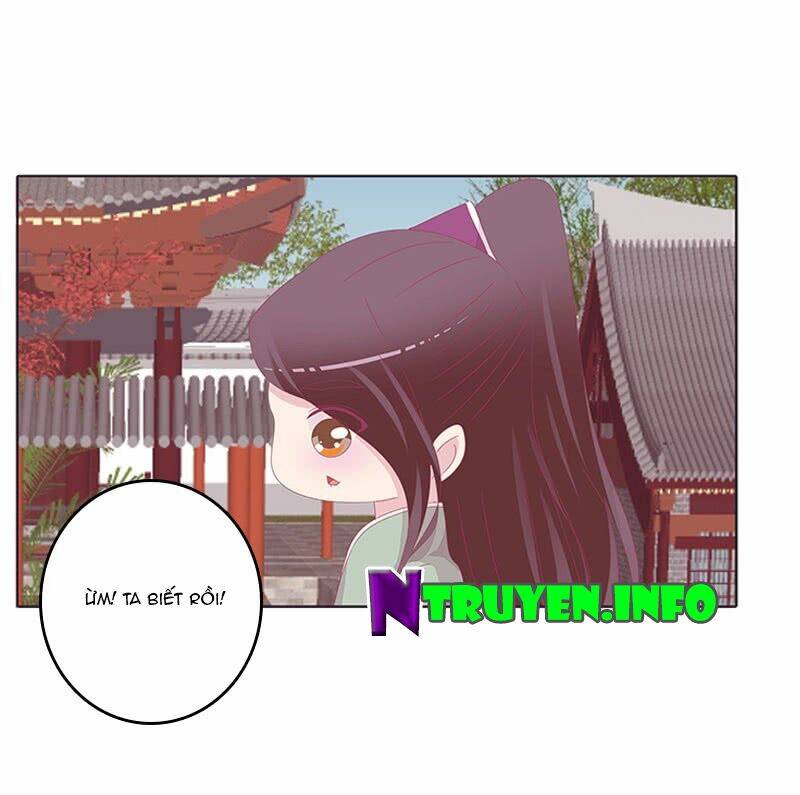 tướng quân mời ra trận chapter 74 16