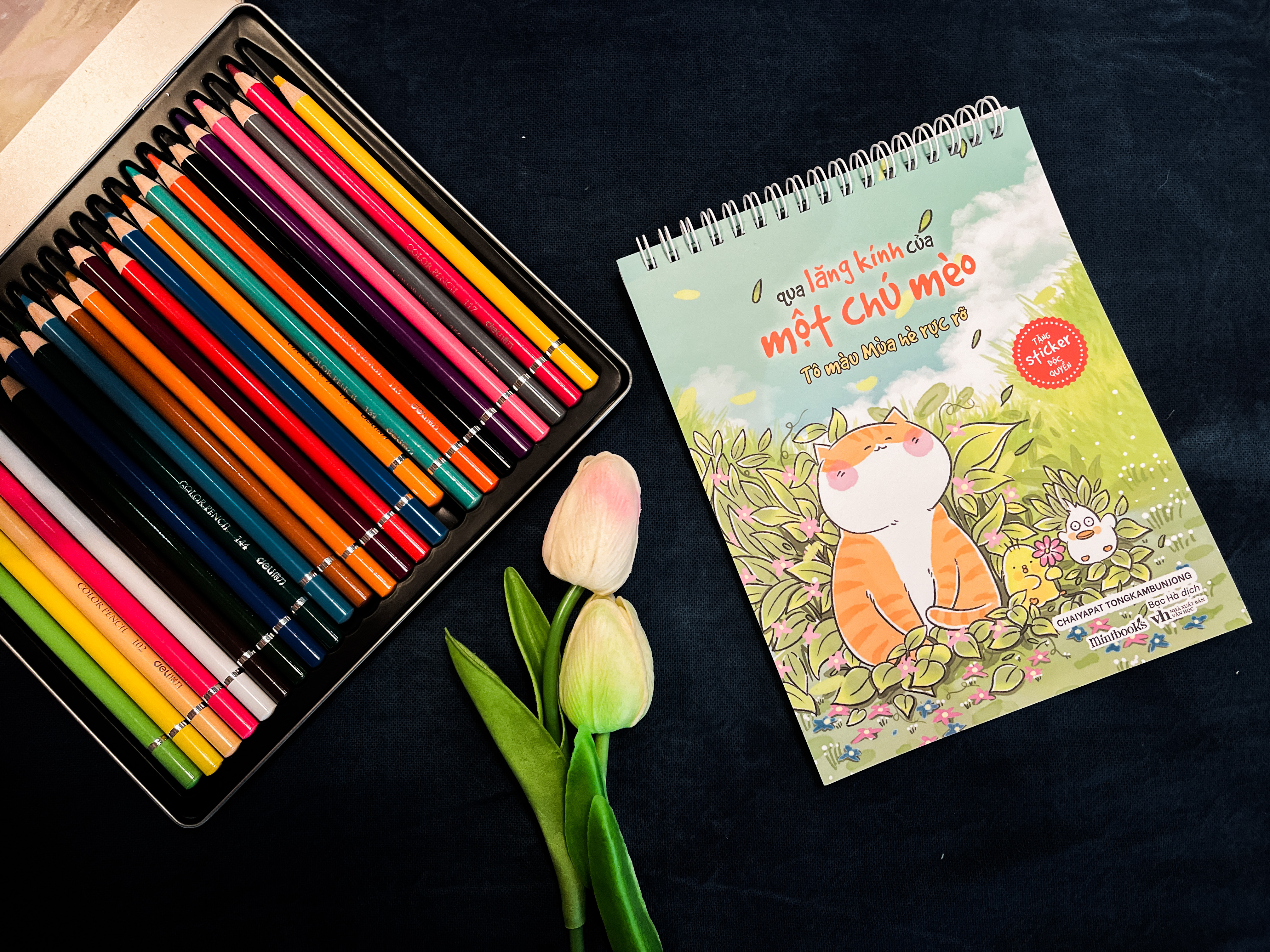 Sách Qua Lăng Kính Của Một Chú Mèo (Tô Màu Mùa Hè Rực Rỡ)