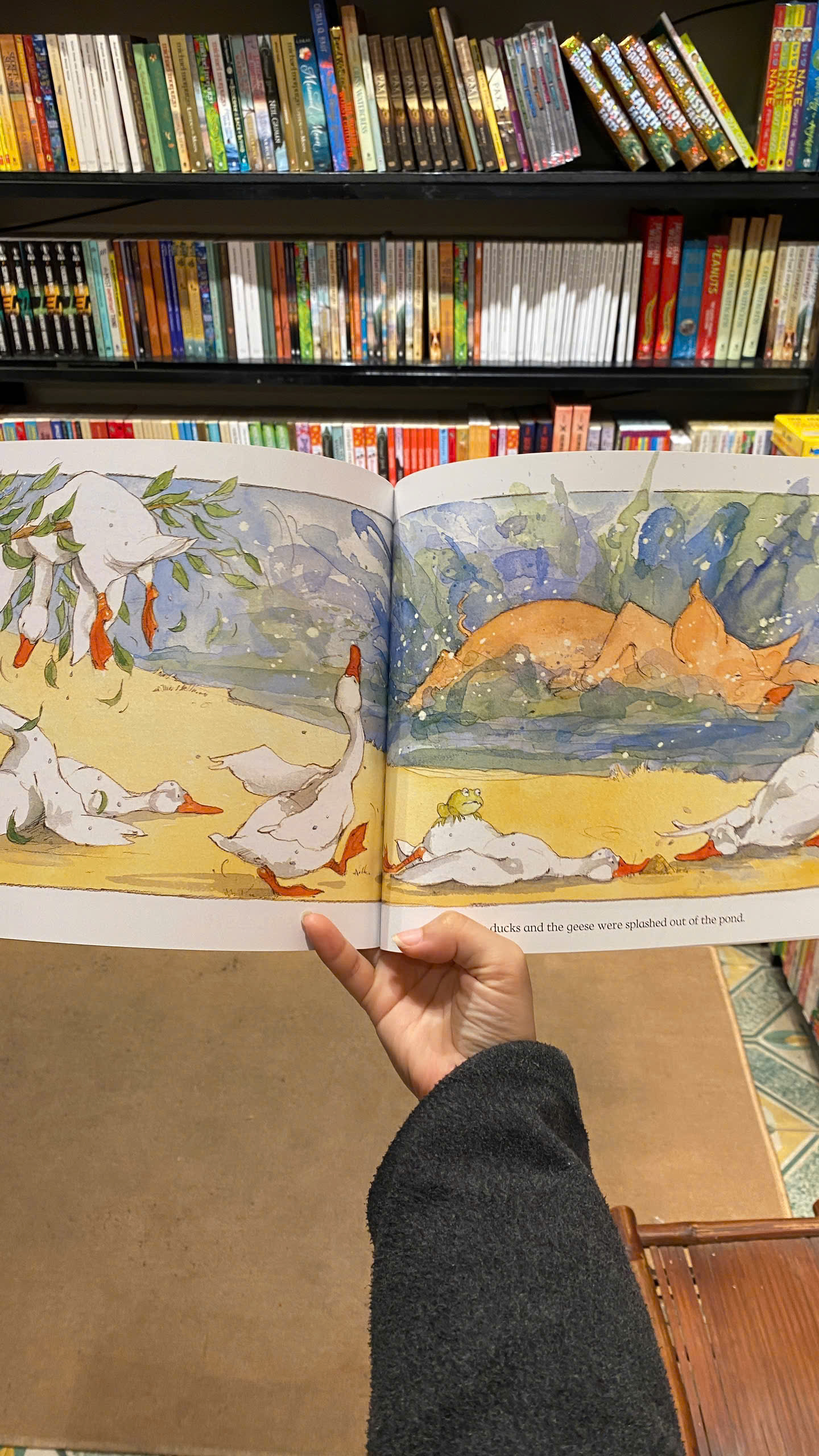 Sách - The Pig in the Pond by Martin Waddell | Children's English Picture Book