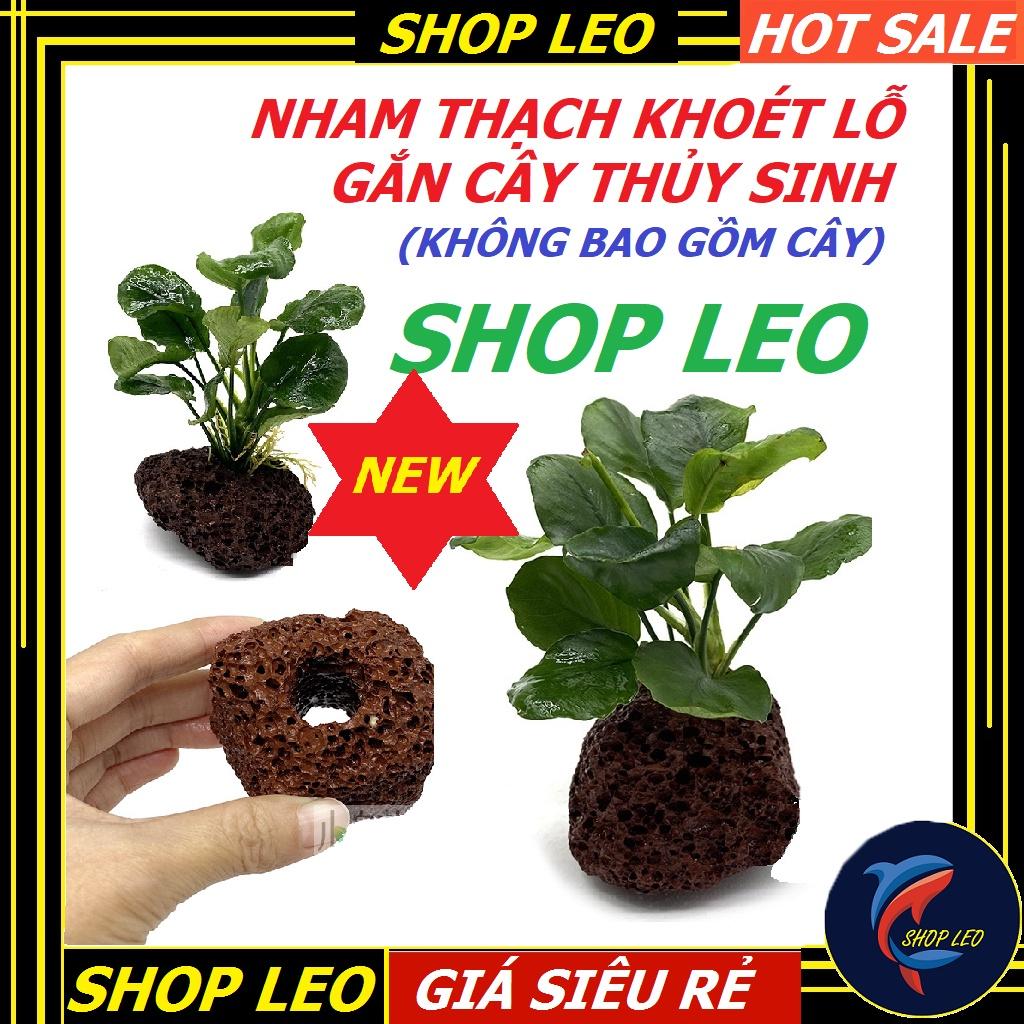 Nham thạch khoan lỗ ươm cây thủy sinh - gắn bucep - gắn ráy - cây thủy sinh- cây cắt cắm -phụ kiện thủy sinh - shopleo