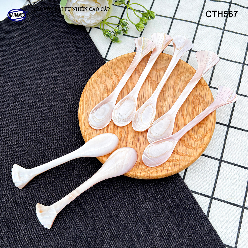 Muỗng Cà Phê Gia Vị Bằng Xà Cừ Tiêu Chuẩn Xuất Khẩu - HAHANCO - CTH567