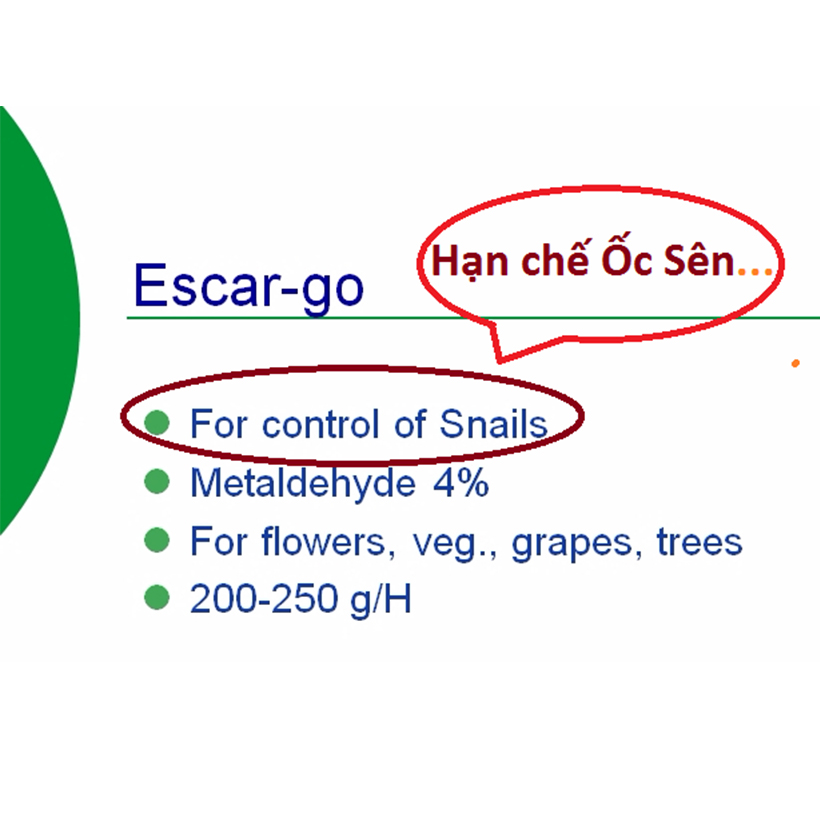 Combo 20m Keo Bẫy Bọ Trĩ, Bẫy Côn Trùng Nông Nghiệp màu vàng 2 Mặt, nhập khẩu Israel, 6 tháng chịu mưa nắng