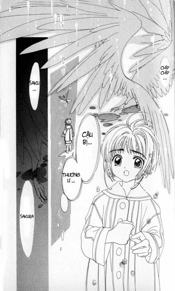 card captor sakura chapter 2 21