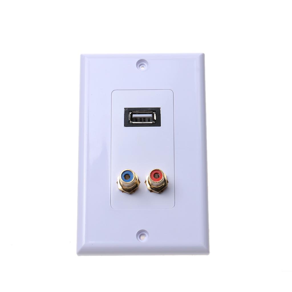 Gold Plated Wall Faceplate with USB 2.0 2RCA Female Ports