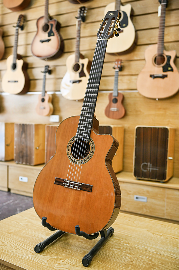 Đàn guitar C# Nilon Acoustic NA-01