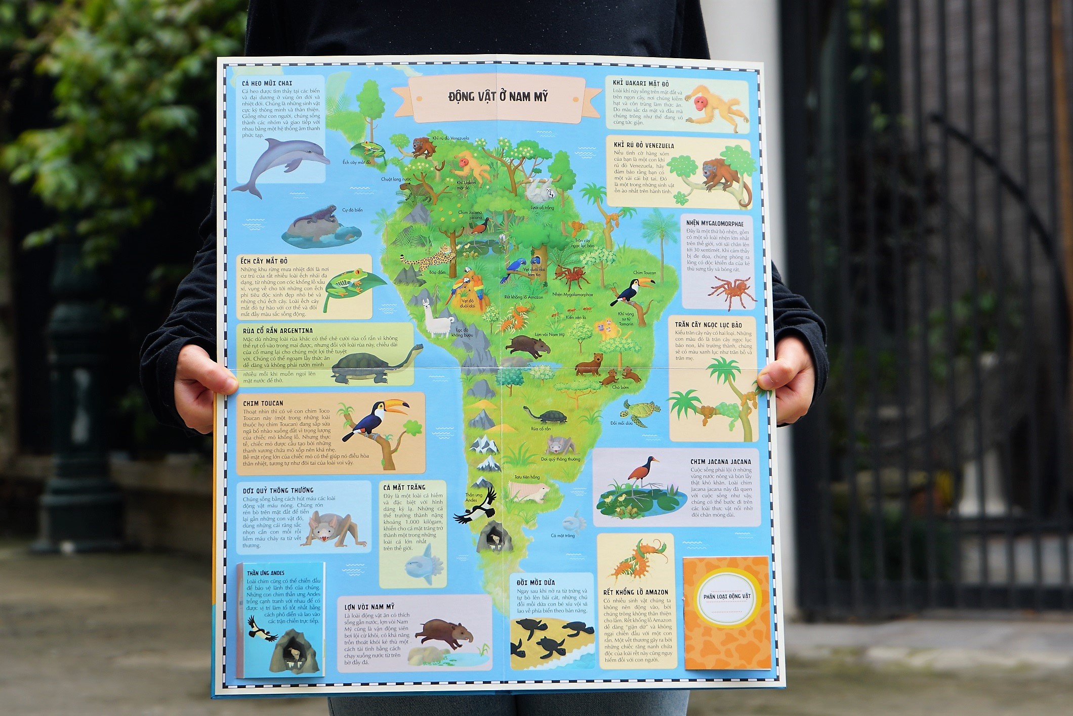 Sách Atlas Động Vật – Khám Phá Thế Giới Động Vật  – Đinh Tị