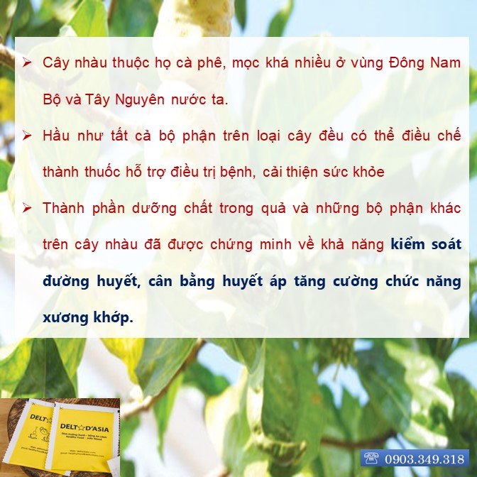TRÀ NHÀU TÚI ZIP –  Delta D'Asia Chữa huyết áp cao, nhức mỏi, đau lưng