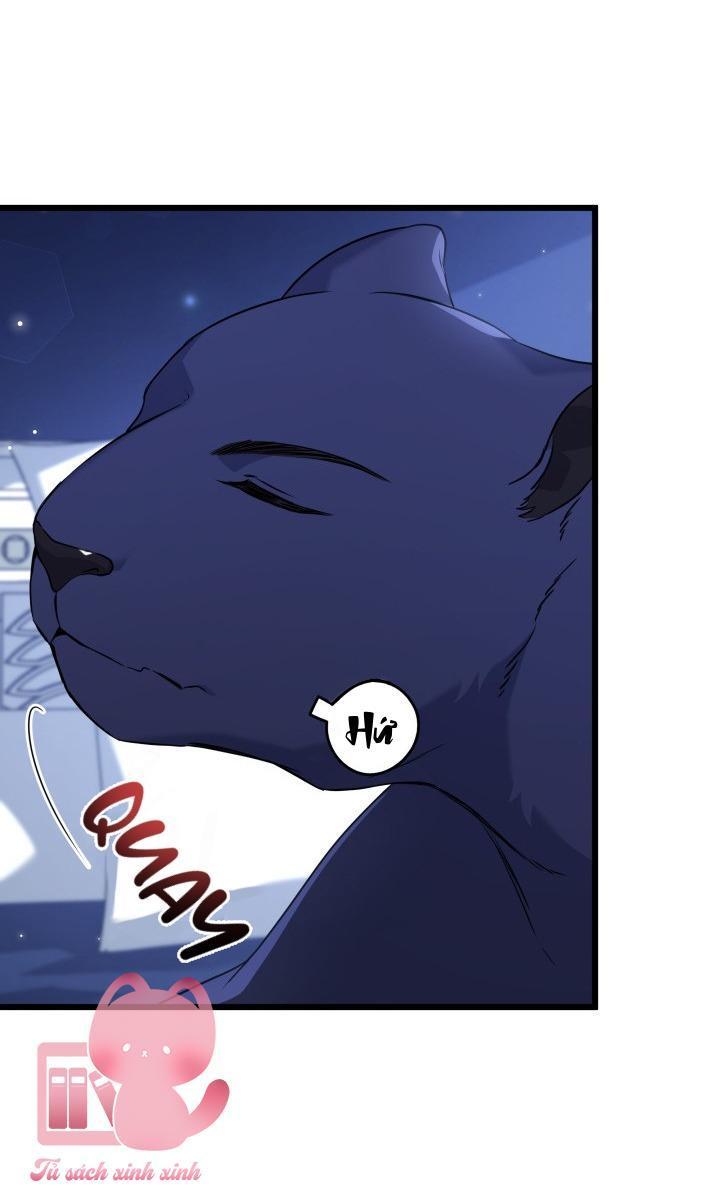 quan hệ cộng sinh giữa báo đen và thỏ trắng chapter 92 22