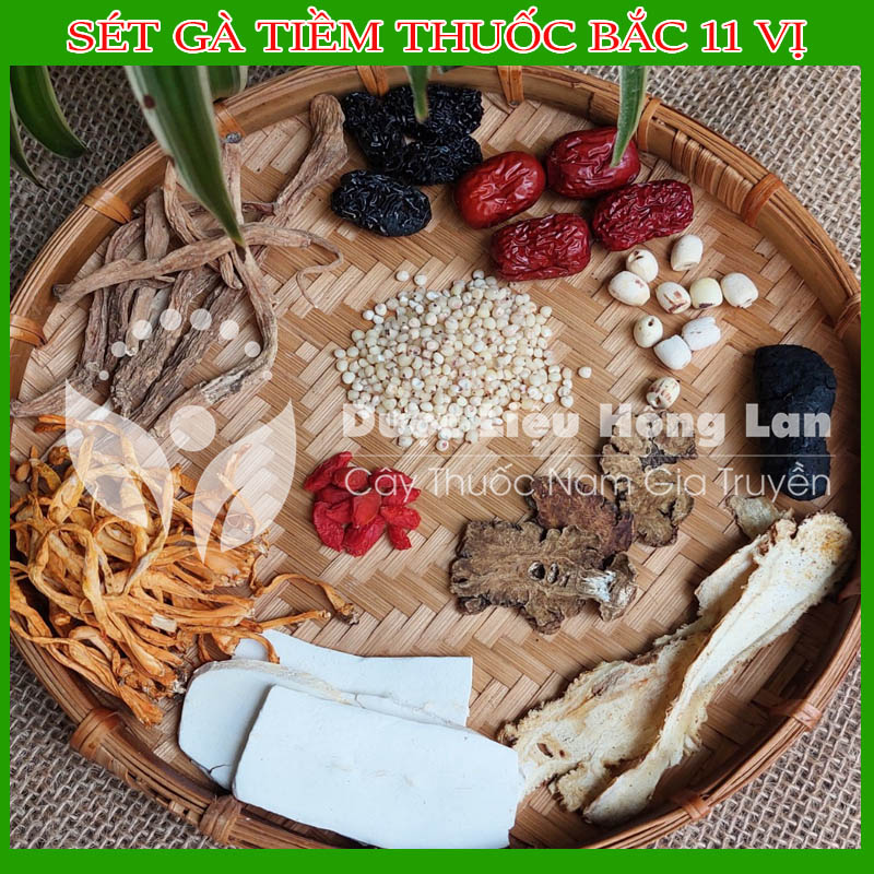 Sét Gà tiềm t.huốc bắc 11 vị - T.huố.c bắc hầm g.à, nấu canh, bồi bổ sức khỏe