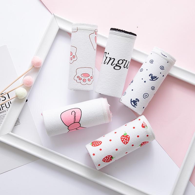 Set 5 quần lót cotton kháng khuẩn nữ họa tiết dễ thương QLN40
