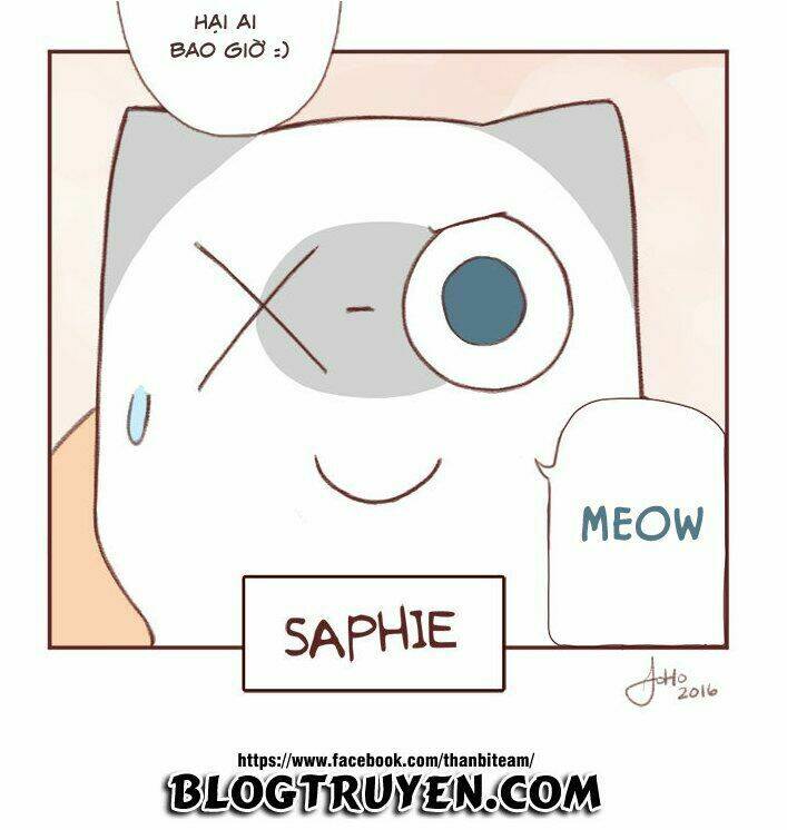 saphie: chú mèo một mắt chapter 1 9
