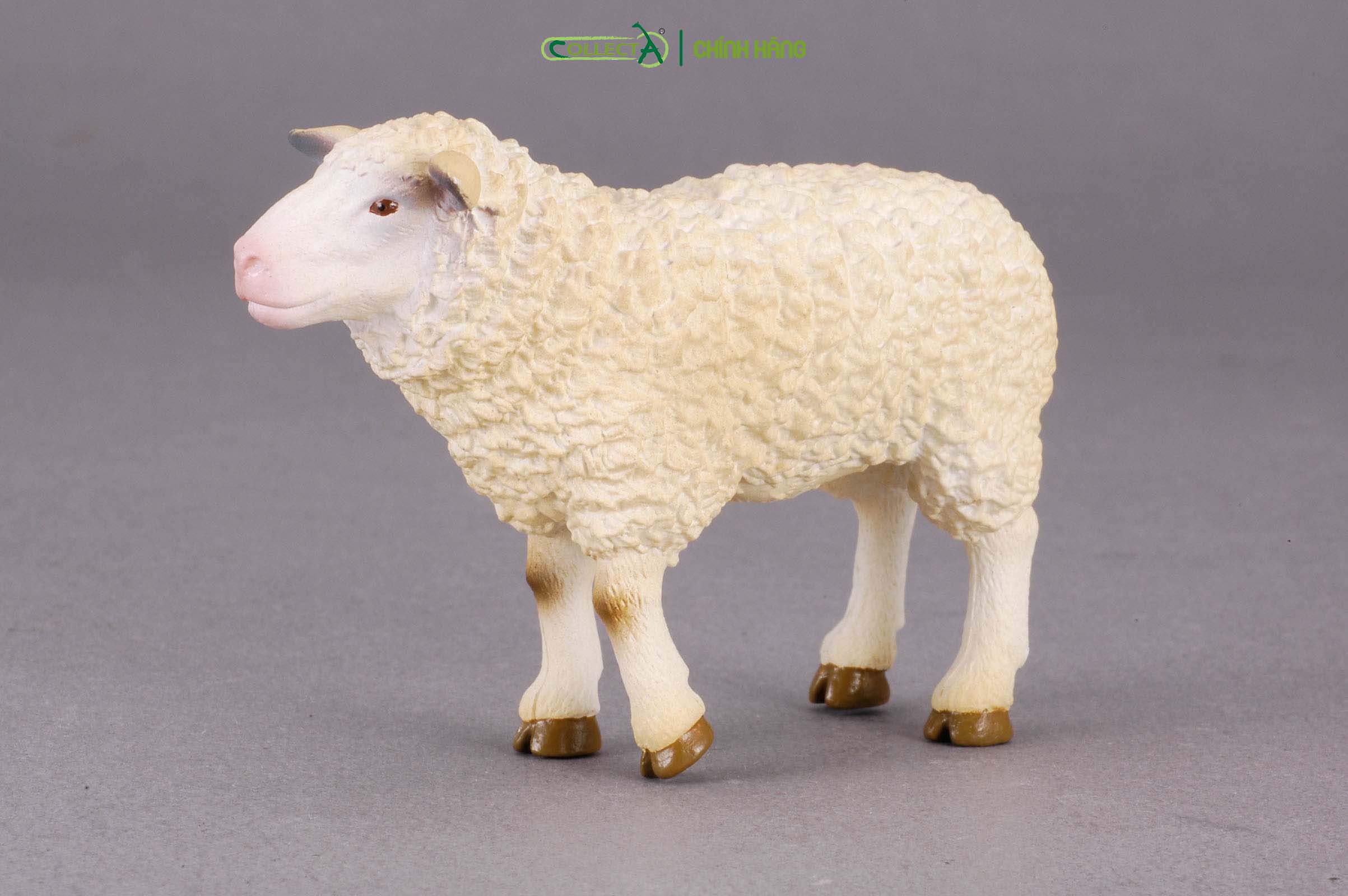 Mô hình thu nhỏ: Cừu mẹ - Sheep, hiệu: CollectA, mã HS 9650170[88008] -  Chất liệu an toàn cho trẻ - Hàng chính hãng