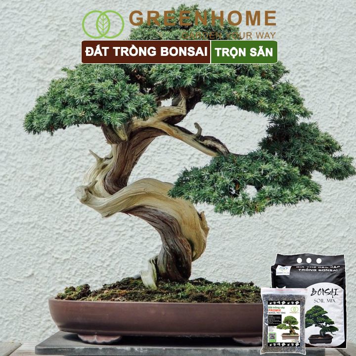 Đất Trồng Cây Bonsai Greenhome, Bao 500GR, Promix, Trộn Sẵn, Tiện Dụng, Giữ Ẩm Tốt, Thoáng Khí, Rễ Khoẻ, Thân To