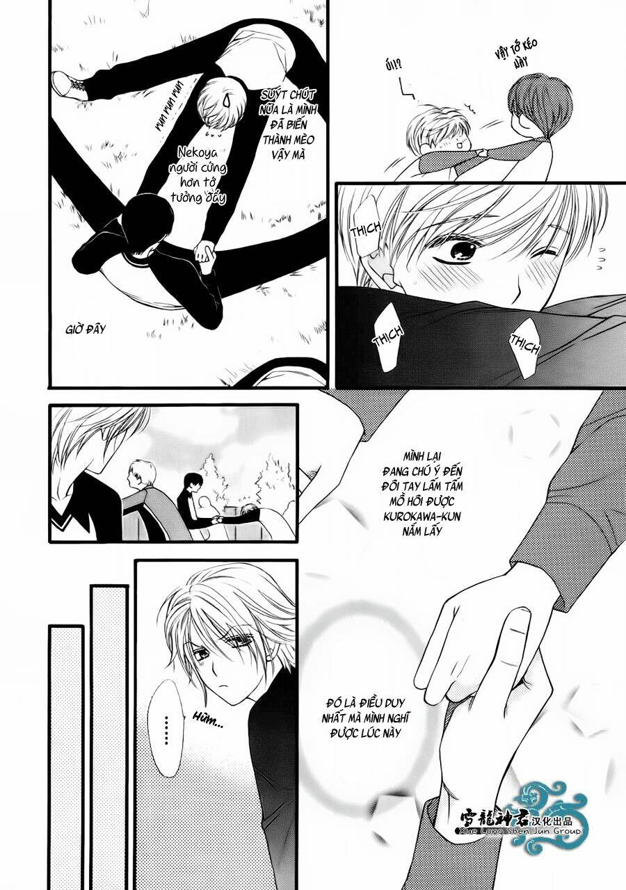 neko neko honey chapter 8 11