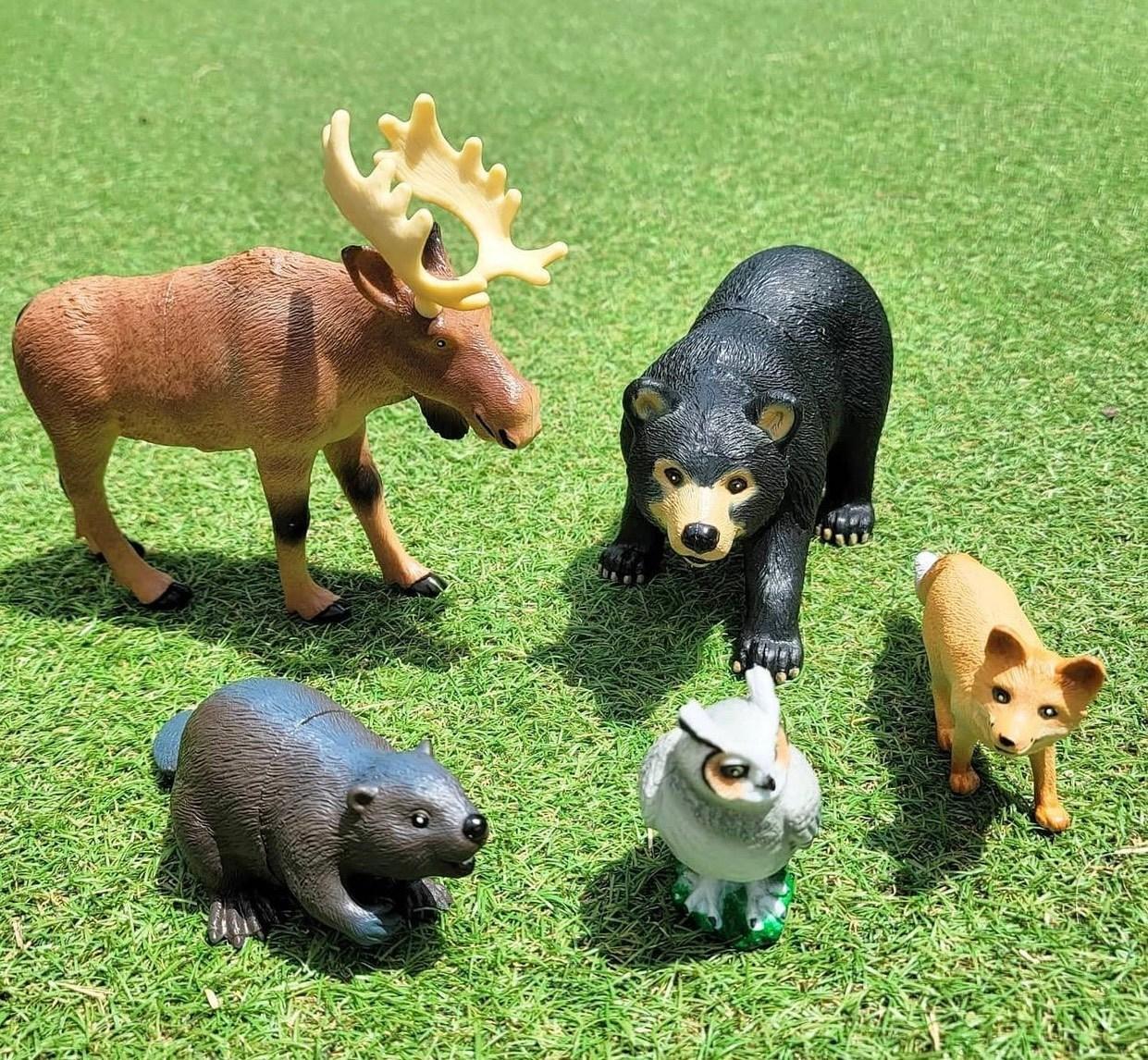 Bộ động vật rừng - Jumbo Forest Animals