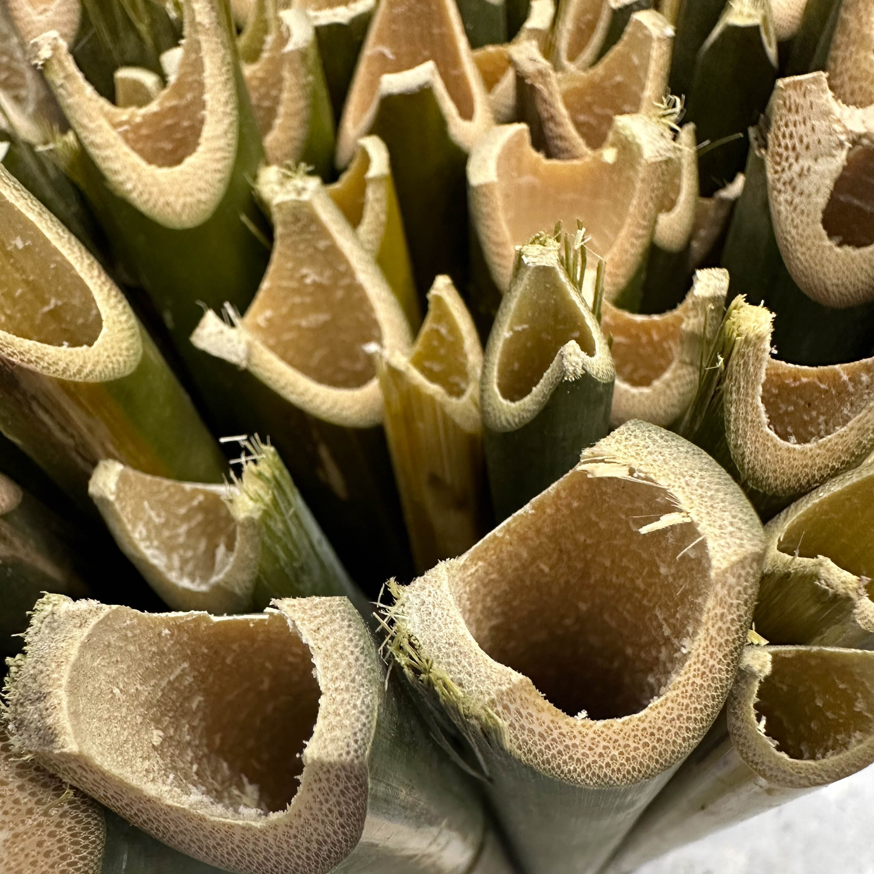 Cây Chống Lờ Cá Cải Tiến