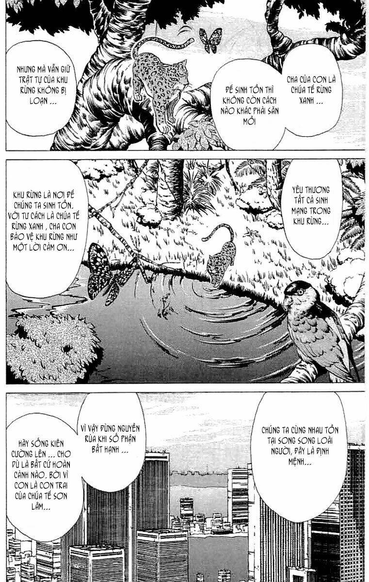 wild half chapter 19 12