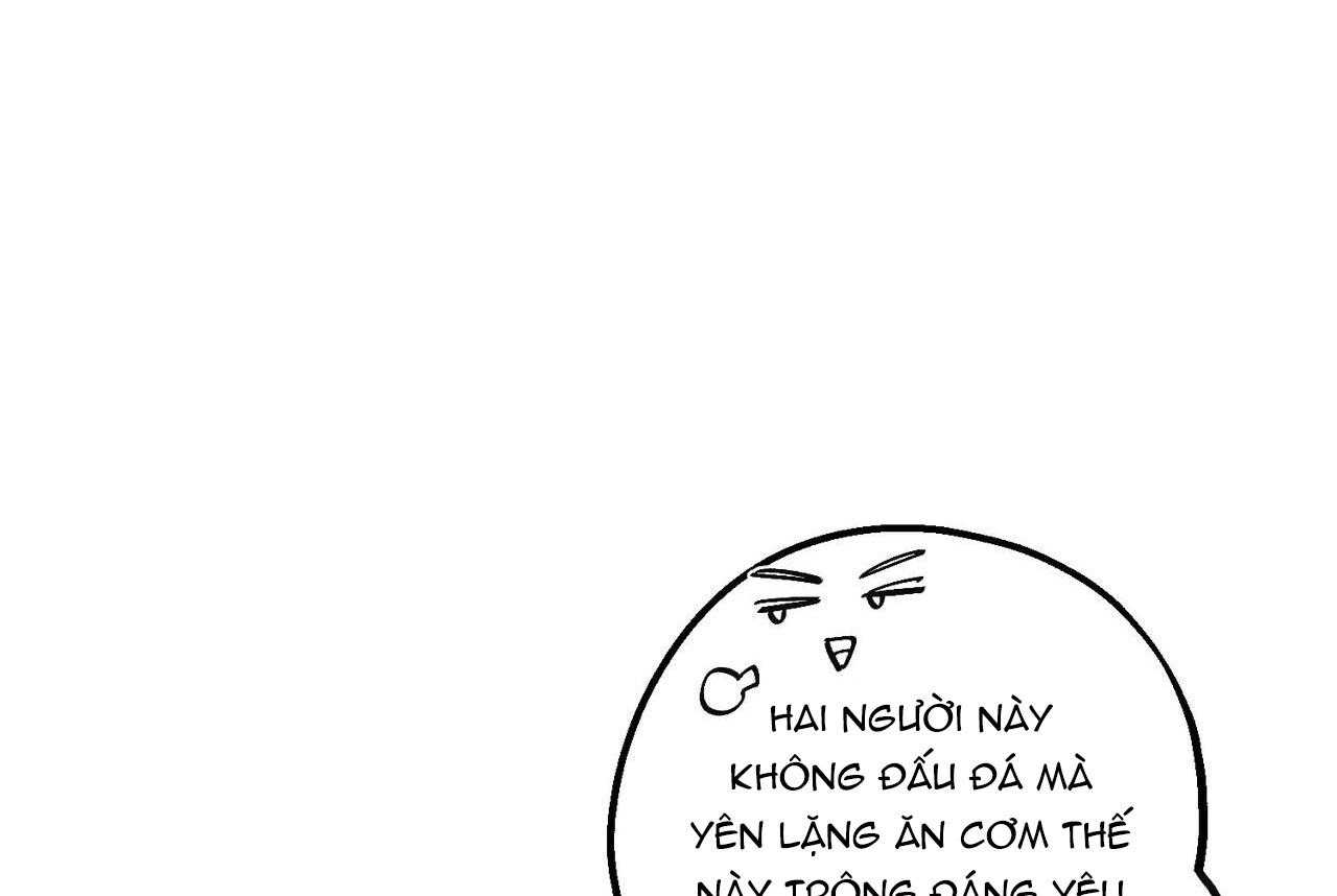 chàng dâu nhà họ kang chapter 68 69