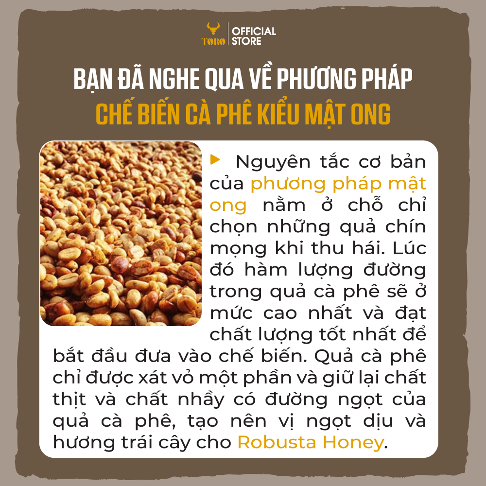 [250GR] Cà Phê Bột Toro Robua Honey Nguyên Chất 100% | TORO FARM