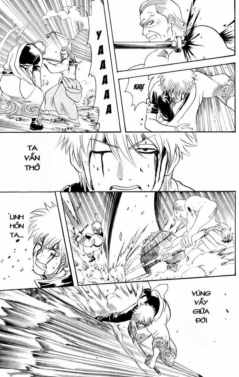 gintama - linh hồn bạc chapter 224 19