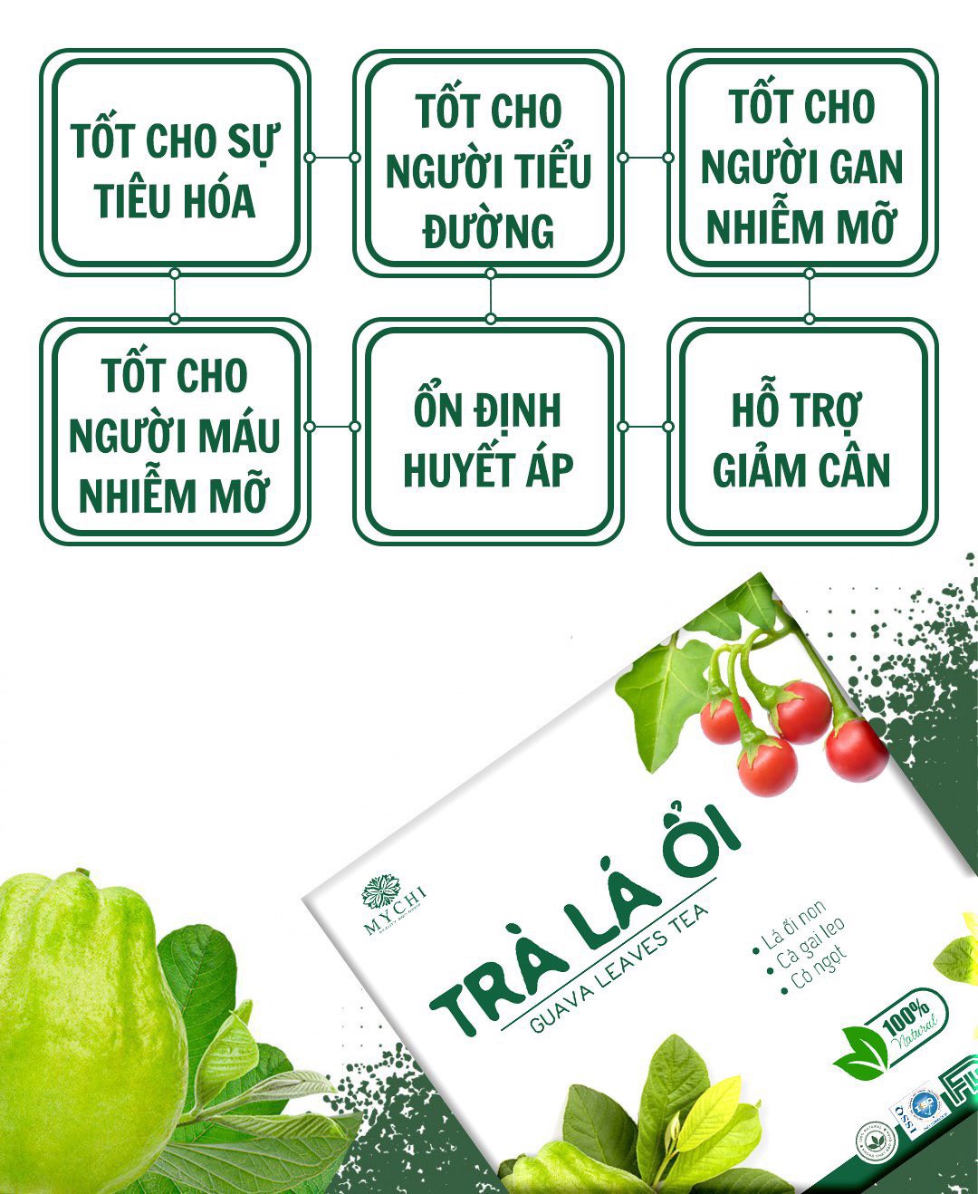 Trà Lá Ổi Mychi - Giảm CÂn, Tan Mỡ, Ngừa Mỡ Máu