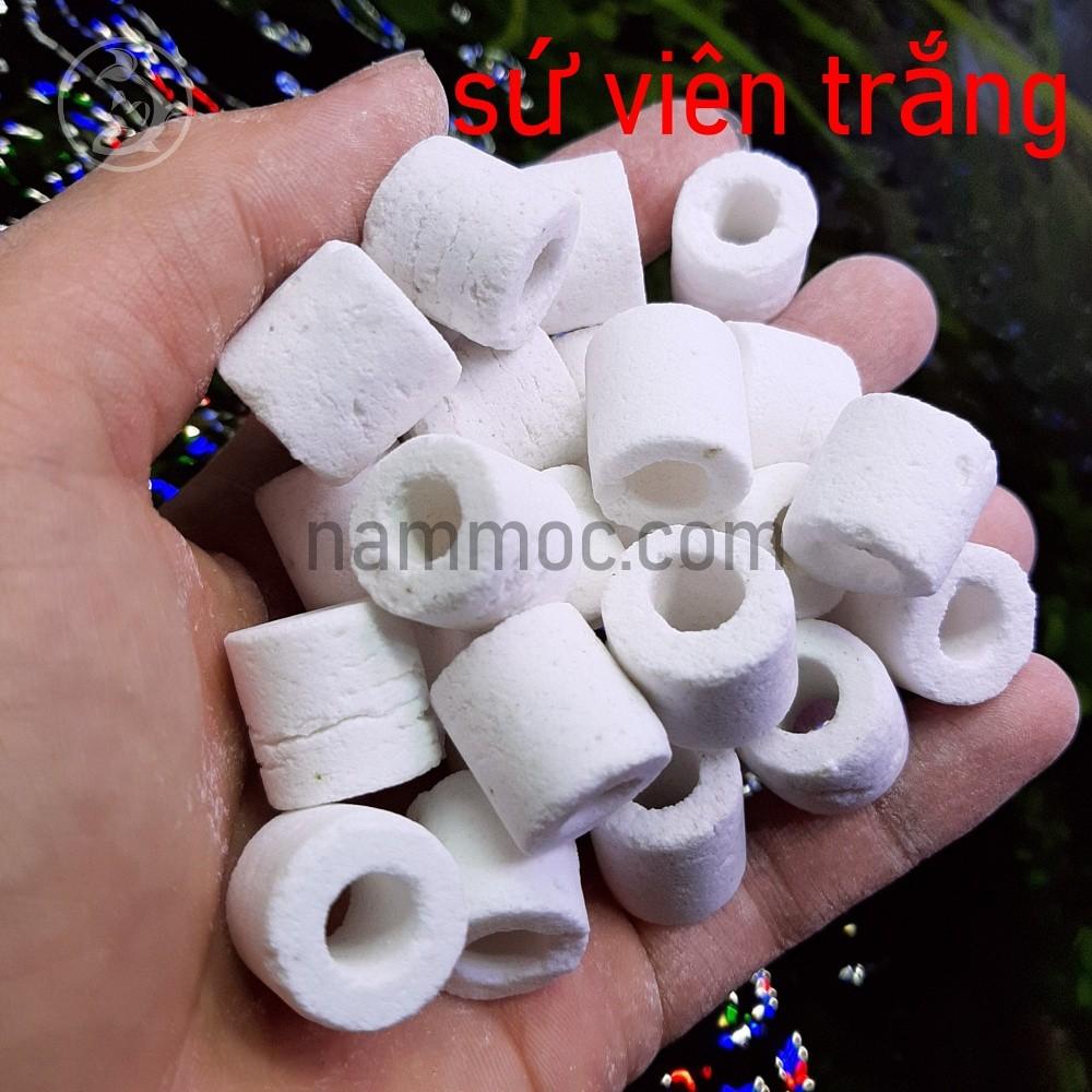 Sứ Viên Trắng | Sứ Lỗ Trắng - Vật liệu lọc nước cho bể cá cảnh, bể thuỷ sinh